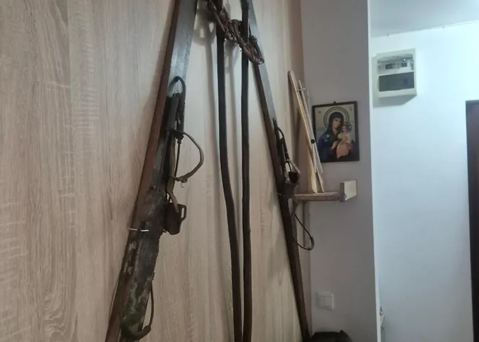 Apartament Casa Capibarei *